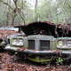 Illustration for article titled GHOST CARS ROTTING IN THE MISSISSIPPI SWAMP